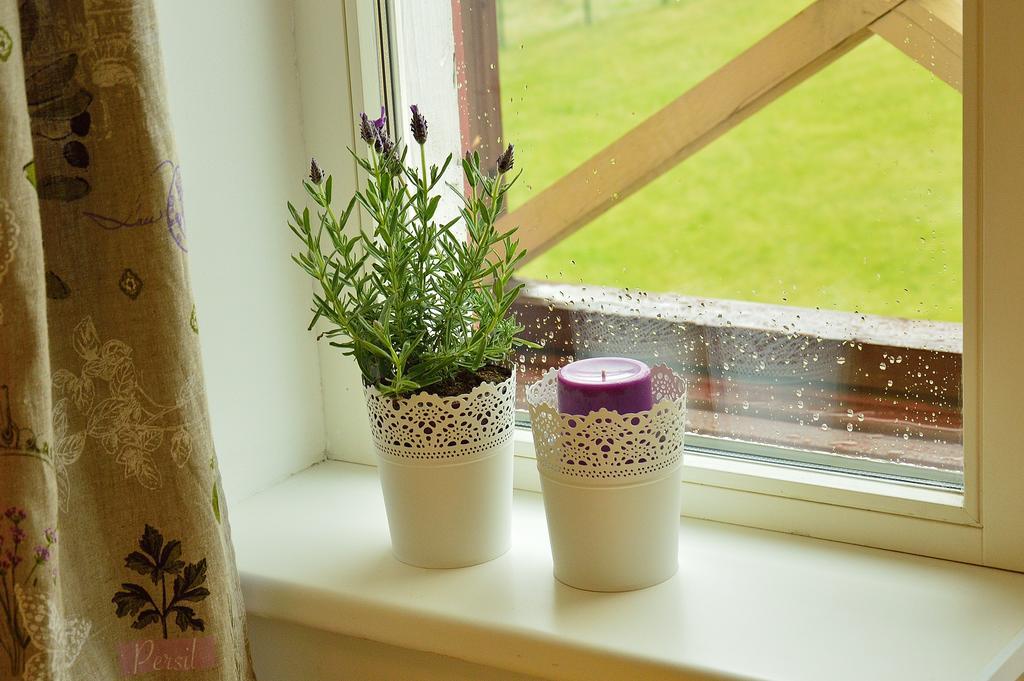 Lavandula Palanga Habitación foto